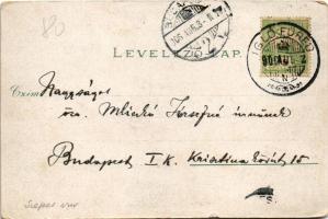 1906 Iglófüred, Bad Zipser Neudorf, Spisská Nová Ves Kupele, Novovesské Kúpele; Vendéglő és Nagy für...