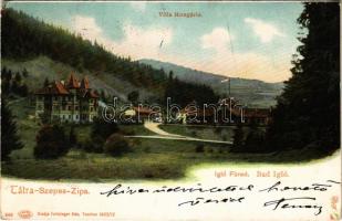 1903 Iglófüred, Bad Zipser Neudorf, Spisská Nová Ves Kupele, Novovesské Kúpele; Hungária nyaraló. Feitzinger Ede 540. 1902/12. Auto-Chrom / villa (fl)