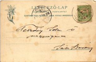 1903 Iglófüred, Bad Zipser Neudorf, Spisská Nová Ves Kupele, Novovesské Kúpele; Hungária nyaraló. Fe...