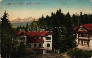 1913 Lucsivna, Lautschburg, Lucivná (Magas-Tátra, Vysoké Tatry); Lucsivnafüred a Krivánnal, Neptun nyaraló a Bazárral és fürdő vendéglővel, étterem. Feitzinger Ede No. 401. / Bad Lucsivna m. d. Krivan, Villa Neptun m. Bazar u. Kur-Restauration / spa resort, hotel, villa, bazaar shop, restaurant (EK)