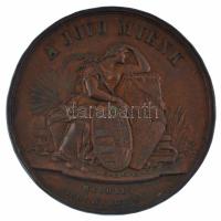 August Kleeberg 1861. "Gróf Teleki László" kétoldalas, vert bronz emlékérem "GRÓF TEL...