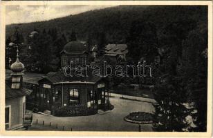 1938 Bártfa, Bártfafürdő, Bardejovské Kúpele, Bardiov, Bardejov; Főforrás / spa, main spring source, well (EK)