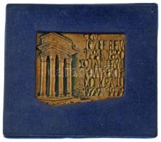 Lengyelország 1979. "Bem apó a magyar szabadságharc legnagyobb hadvezére 1848-1849" bronz plakett magyar és lengyel nyelvű felirattal, keretben (114x100mm) T:XF Poland 1979. "Jozef Bem 1848-1849" bronze plaque in Hungarian and Polish, in frame (114x100mm) C:XF