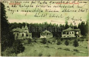 1912 Bártfa, Bártfafürdő, Bardejovské Kúpele, Bardiov, Bardejov; Erzsébet királyné körúti részlet, villa. Divald műintézete 48-1909. / villas, spa (fa)