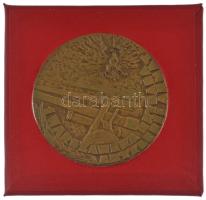 Lengyelország DN "Bem József 1794 1850 / 1. Varsói ágyútüzér dandár" bronz emlékérem tokba...