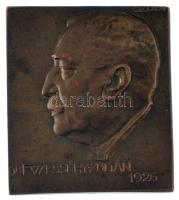 Sződy Szilárd (1878-1939) 1926. "Dr. Füzesséry Zoltán" Br plakett (30,5x35mm) T:XF / Hungary 1926. "Zoltán Füzesséry, Dr." Br plaque. Sign.: Szilárd Sződy (30,5x35mm) C:XF HP 5849var