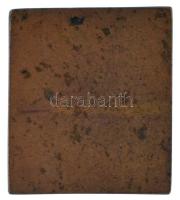 Sződy Szilárd (1878-1939) 1926. "Dr. Füzesséry Zoltán" Br plakett (30,5x35mm) T:XF / Hunga...