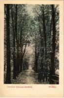 Stubnyafürdő, Túróchévíz, Stubnianske Teplice, Turcianske Teplice; Fő sétány. Stránszky Jakab és veje kiadása / spa, promenade