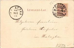 1899 (Vorläufer) Pozsony, Pressburg, Bratislava; Liget. Körper Károly fényképész / Aupark / park (EK...