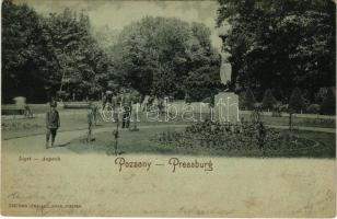 1900 Pozsony, Pressburg, Bratislava; Liget / Aupark / park (fl)