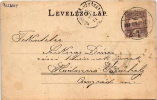 1900 Pozsony, Pressburg, Bratislava; Liget / Aupark / park (fa)