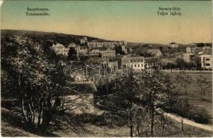 1912 Savanyúkút, Sauerbrunn; látkép. Hönigsberg Frigyes kiadása / general view, spa (EK)