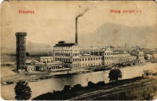 1910 Rózsahegy, Ruzomberok; Magyar papírgyár rt., Kozsehuba Dániel kiadása, Lábay felvétele / Hungarian paper factory, paper mill (b)