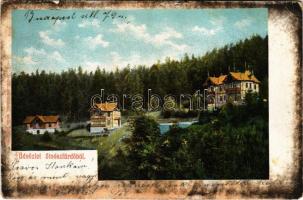 1905 Stószfürdő, Stoósz-fürdő, Kúpele Stós; nyaralók. Wlaszlovits Gusztáv kiadása / spa, villas (fa)