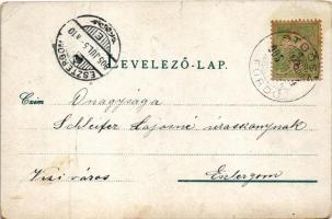 1905 Stószfürdő, Stoósz-fürdő, Kúpele Stós; nyaralók. Wlaszlovits Gusztáv kiadása / spa, villas (fa)