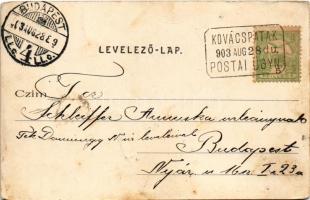 1903 Kovácspatak, Kovacov; Ámor-forrás, Medvebarlang. Wallfisch S. kiadása / spring source, cave (EB...