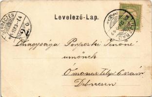 1905 Arad, Igazságügyi palota / Palace of Justice (EB)