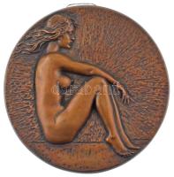 Kovács Tamás (1964- ) 1984. Női aktot ábrázoló nagyméretű bronz plakett, peremén két lyukkal fali akasztó számára (~218-219mm) T:UNC,AU