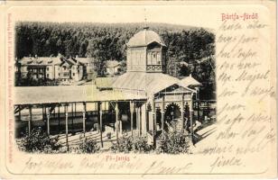 1902 Bártfafürdő, Bardejovské Kúpele, Bardiov, Bardejov; Fő forrás. Eschwig Ede F. kiadása, Hajts Kornél felvétele / mineral water spring