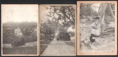 1902 Oroszvár (Rusovce), a későbbi Lónyay, korábbi Zichy-kastély kertje és parkja beazonosítandó höl...