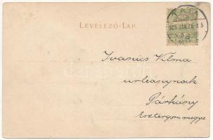 1905 Tatatóváros, Tata-Tóváros; Angolpark részlet, Török mecset. Mobel Adolf kiadása + "Éljen V...