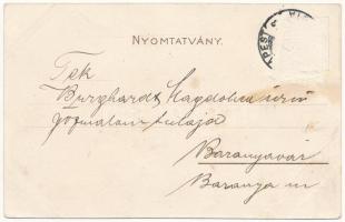 Magyar-Puszta. Brázay-féle sósborszesz reklám. Bruchsteiner és fia / Hungarian savory wine spirits a...