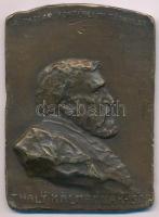 Tóth Gyula (1893-1970) DN "A Magyar Történelmi Társulat Thaly Kálmánnak - 1906" bronz plakett (47x65mm) T:VF,F ph. HP 6284.