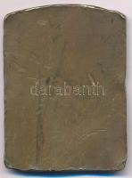 Tóth Gyula (1893-1970) DN "A Magyar Történelmi Társulat Thaly Kálmánnak - 1906" bronz plak...