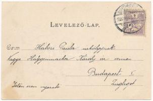 1900 Budakeszi, Virágvölgy. Hatschek Emil 4. sz. / Blumenthal