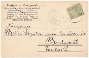 1903 Kassa, Kosice; BUÉK Bidlo Ignác uradalmi erdő és jószág felügyelő újévi reklám üdvözlete, szarv...