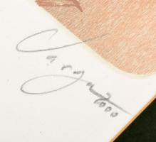 Varga Bencsik József (1944-): Virágok III. Színes rézkarc, papír, jelzett. Számozott: 27/100. Üvegez...