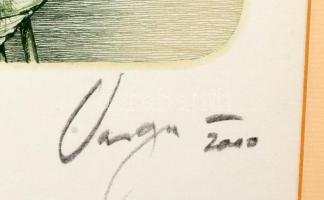 Varga Bencsik József (1944-): Gerberák. Színes rézkarc, papír, jelzett. Számozott: ?/100. Üvegezett ...