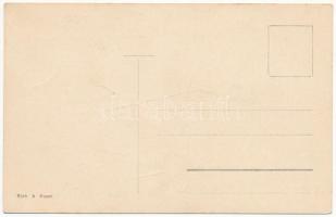 Budapest, Bleriot repülőgépével Budapesten. Biró A. kiadása (EK)