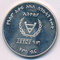 Etiópia 1982. 50B Ag "Fogyatékkal Élők Nemzetközi Éve" T:AU (eredetileg PP) ujjlenyomatos ...