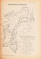Györffy György: Az Árpád-kori Magyarország történeti földrajza I-II. kötet. A-Cs., D-Gy. A szerző, G...
