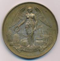 1901. "Makói Ipar és Gazdasági Kiállítás" ezüstözött bronz emlékérem (57mm) T:AU kopott ez...