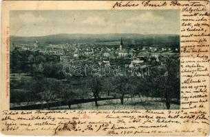 1900 Budakeszi. Hatschek Emil 1. sz. (EK)