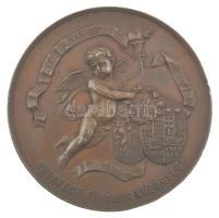 1881. "RUDOLF CS. ÉS KIR. FŐHERCZEG TRÓNÖRÖKÖS ÉS STEFÁNIA BELGA KIR. HERCZEGNŐ - MENYEGZŐJÜK E...