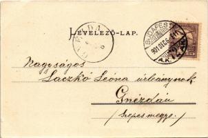 1901 Győr, Kisfaludy Károly szobor. Gigler Béla felvétele (r)