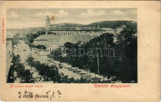 1900 Szekszárd, Szegzárd; Város keleti része. Fischof Mór kiadása (EK)