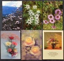 Kb. 200 db MODERN virágos üdvözlő motívum képeslap / Cca. 200 modern flower greeting motive postcards