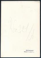 cca 1930-1940 Budapest, régi Erzsébet híd, Szendrő István (1908-2000) pecséttel jelzett fotója, 23×1...