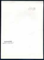 cca 1930-1940 Műkorcsolyázó a Városligetben, Szendrő István (1908-2000) pecséttel jelzett fotója, 24...