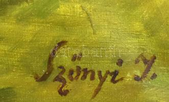 Szőnyi I jelzéssel: Vízparti táj. Olaj, vászon. 60,5x75 cm