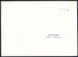 cca 1930-1940 Budapest, Margitsziget, Nemzeti Sportuszoda, Szendrő István (1908-2000) pecséttel jelz...