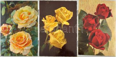 Kb 150 modern képeslap: gyerekek, virágok, üdvözlők modern fotóalbumban