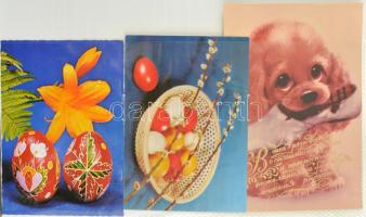 Kb 220 modern képeslap: állatok, kutyák, macskák, üdvözlők, modern városképek, fotóalbumban