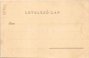 Szliács, Sliac; látkép. Sonnenfeld Mór kiadása / general view (ázott sarok / wet corner)