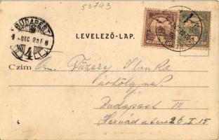 1902 Komárom, Komárno; Várkapu. Czike Dénes kiadása / castle gate (EK)