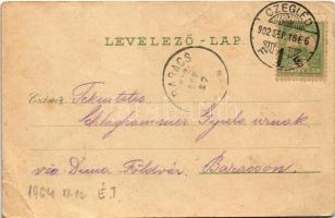 1902 Cegléd, Kossuth tér. Sebők Béla kiadása (fa)